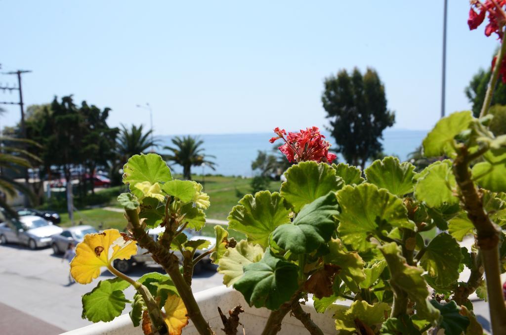 Cavo D' Oro Otel Nea Moudania Dış mekan fotoğraf